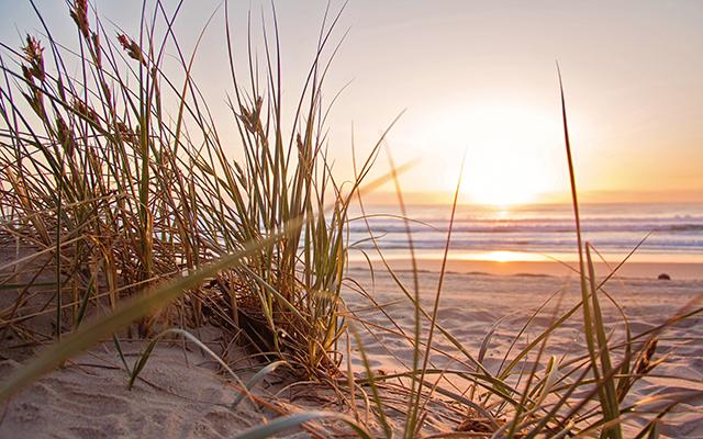 South Florida beach at dawn with warm light